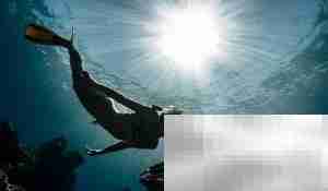 潜水常见问题速答