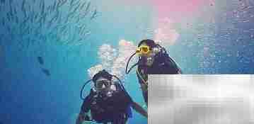 潜水常见问题速答