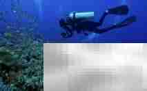 潜水常见问题速答