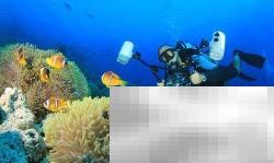 潜水常见问题解答与技巧