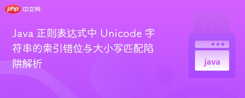 Java正则Unicode与大小写问题解析
