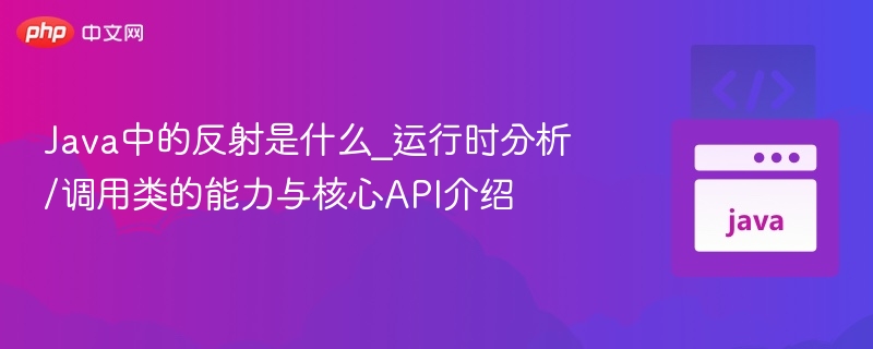 Java中的反射是什么_运行时分析/调用类的能力与核心API介绍