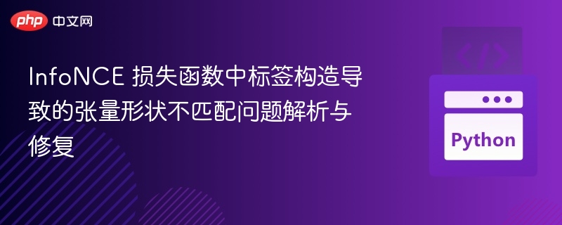 InfoNCE损失标签构造问题详解