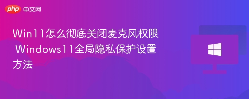 Win11关闭麦克风权限设置方法