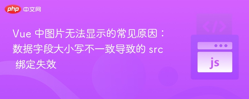 Vue 中图片无法显示的常见原因：数据字段大小写不一致导致的 src 绑定失效
