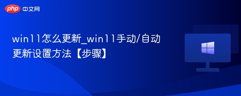 Win11系统更新设置全攻略