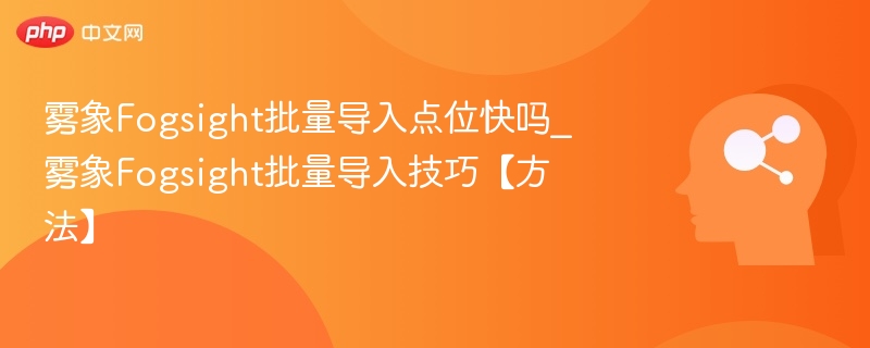 雾象Fogsight点位导入技巧与速度提升方法