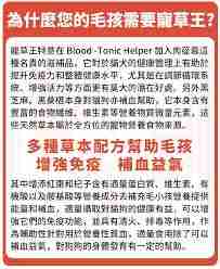 中草药宠粮如何进补