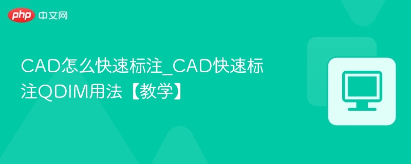 CAD快速标注QDIM使用技巧