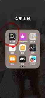 iPhone宠物寄生虫怎么检测