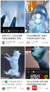 iPhone宠物寄生虫检测方法详解