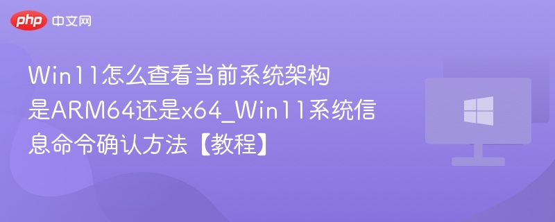 Win11如何查看系统架构？简单教程