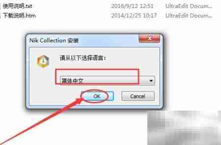 nik Collection安装指南