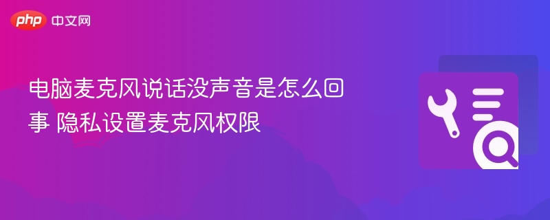 电脑麦克风说话没声音是怎么回事 隐私设置麦克风权限