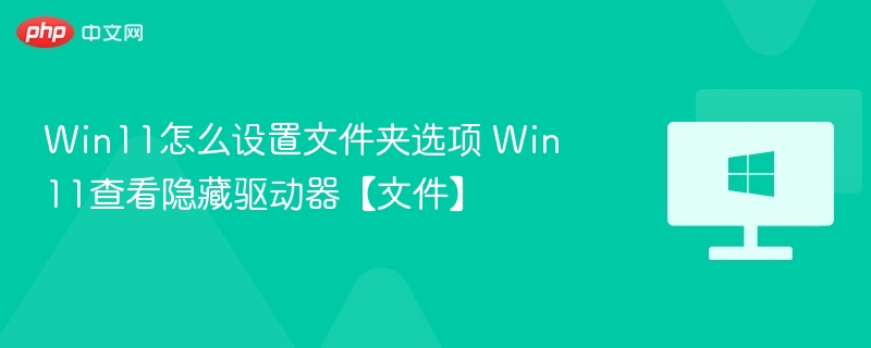 Win11怎么设置文件夹选项 Win11查看隐藏驱动器【文件】