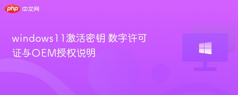 Windows11激活密钥使用指南