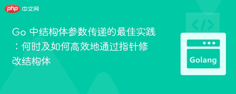 Go 中结构体参数传递的最佳实践：何时及如何高效地通过指针修改结构体
