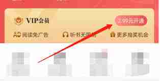 如何开通阅友小说会员