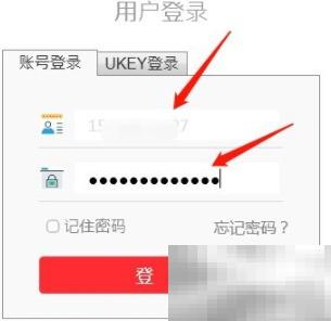 家谱制作方法与实用技巧详解