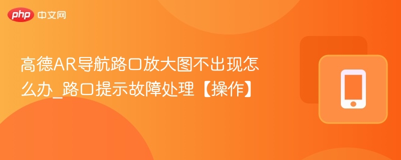 高德AR导航路口放大图不显示怎么办