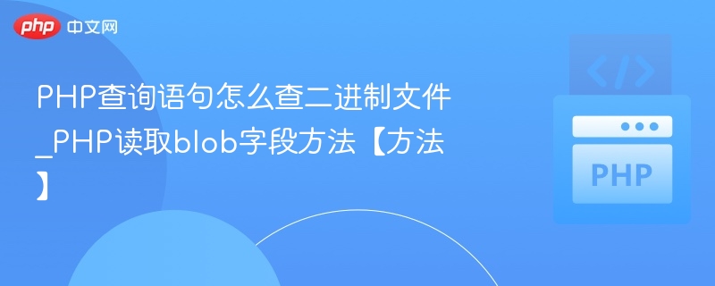 PHP读取BLOB字段完整教程
