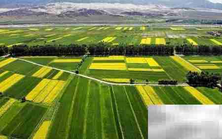 农业APP功能开发指南