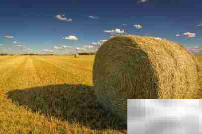 农业APP功能开发指南