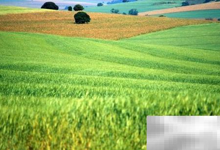 农业APP功能详解与开发指南