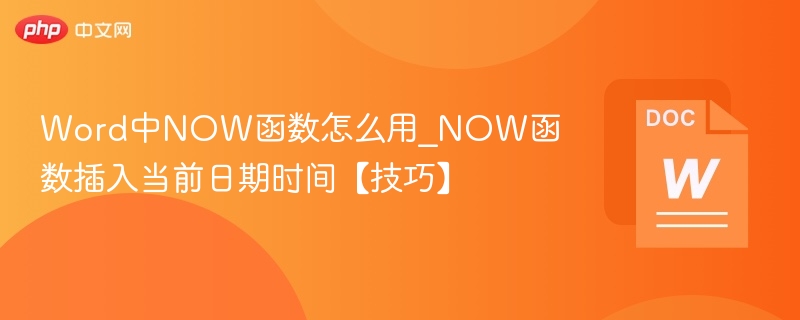 Word中NOW函数怎么用_NOW函数插入当前日期时间【技巧】