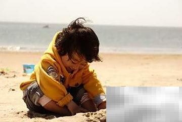 1立方沙子价格最新解析