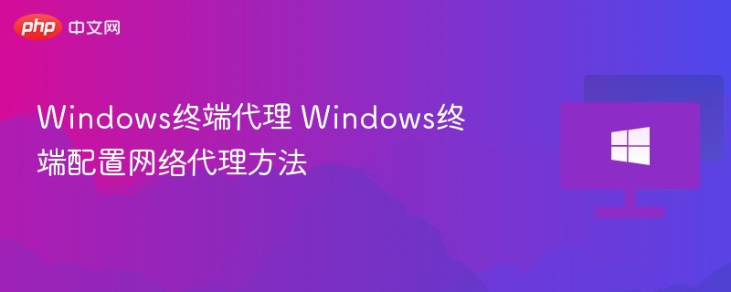 Windows终端代理设置方法