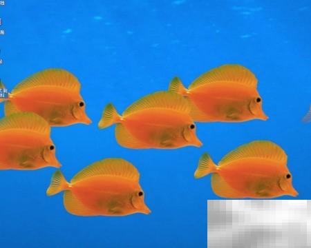 WinServer2003启用保护存储教程