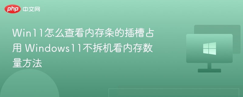 Win11怎么查看内存条的插槽占用 Windows11不拆机看内存数量方法