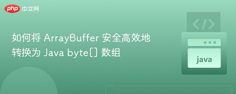 ArrayBuffer转Javabyte数组安全方法