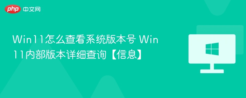 Win11怎么查看系统版本号 Win11内部版本详细查询【信息】