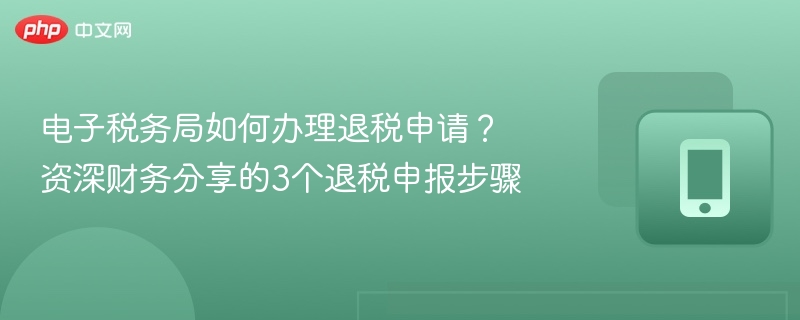 电子税务局如何办理退税申请？资深财务分享的3个退税申报步骤
