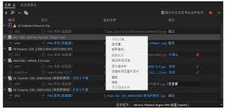 Encoder输出路径设置教程详解