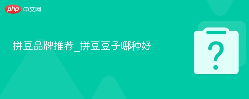 拼豆品牌推荐与优质豆子挑选技巧