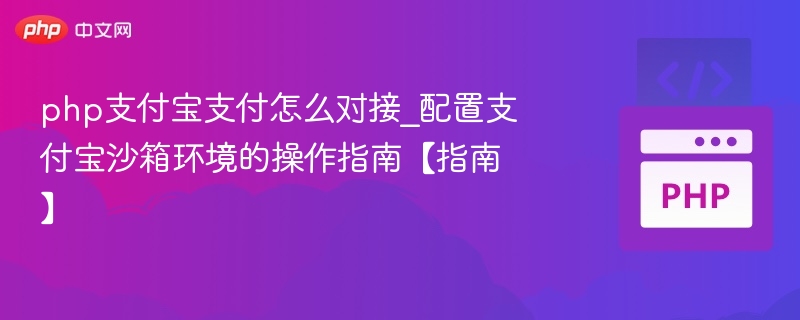 php支付宝支付怎么对接_配置支付宝沙箱环境的操作指南【指南】