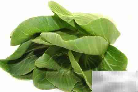 孕产妇可以吃小白菜吗