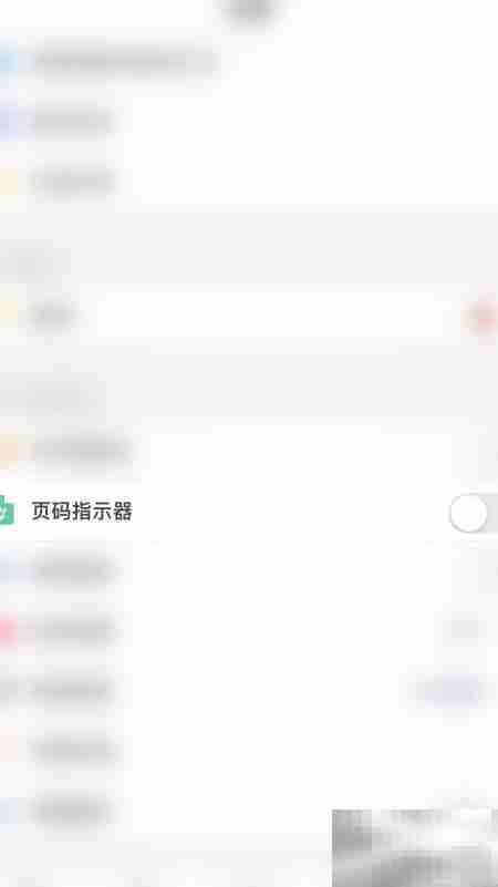 开启PDF Reader页码指示器方法