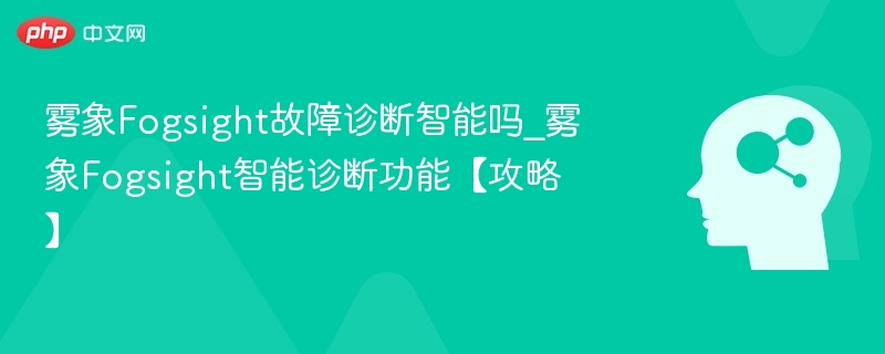 雾象Fogsight诊断功能全解析