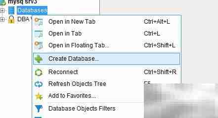 DbVisualizer创建数据库指南