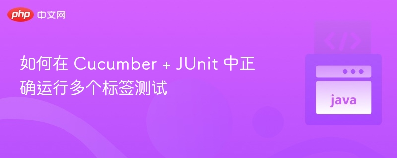 如何在 Cucumber + JUnit 中正确运行多个标签测试