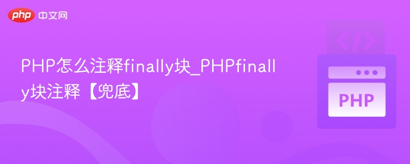 PHP怎么注释finally块_PHPfinally块注释【兜底】