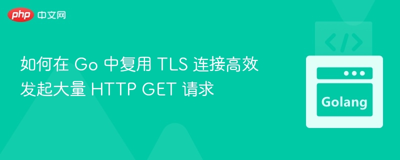 Go高效复用TLS连接发大量GET请求