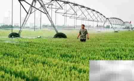 智能农业谁主导？