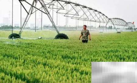 智能农业谁主导？行业趋势分析