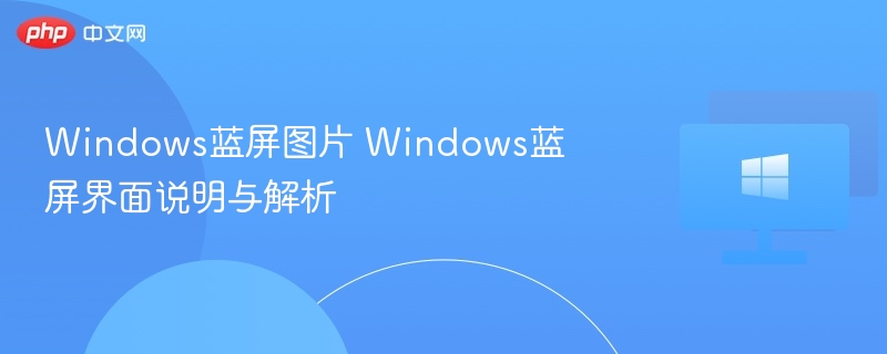 Windows蓝屏图片 Windows蓝屏界面说明与解析