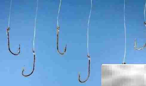 6.0子线直径有多粗?